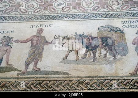 Haus von Dionysos, Zypern: Die römische Bodenmosaik zeigt Icarios, die die Zügel eines mit Ochsen angetriebenen, doppelrädrigen Wagens halten, gefüllt mit Säcken Wein. Stockfoto