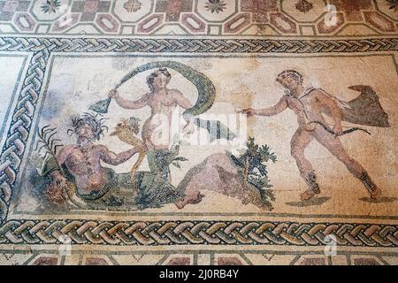 Römisches Bodenmosaik 'Apollo und Daphne', Haus des Dionysos, Archäologischer Park von Paphos, Zypern. Das Panel illustriert den Mythos von Apollo und Daphne. Stockfoto