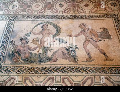 Römisches Bodenmosaik 'Apollo und Daphne', Haus des Dionysos, Archäologischer Park von Paphos, Zypern. Das Panel illustriert den Mythos von Apollo und Daphne. Stockfoto