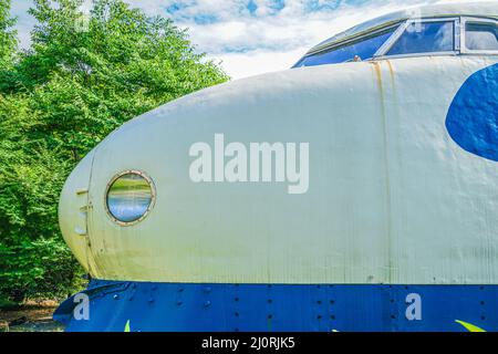 Shinkansen der 0-Serie (Akishima Tsutsujigaoka Park) Stockfoto