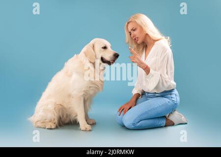 Verärgerte Frau schimpft ihren Hund im blauen Studio Stockfoto
