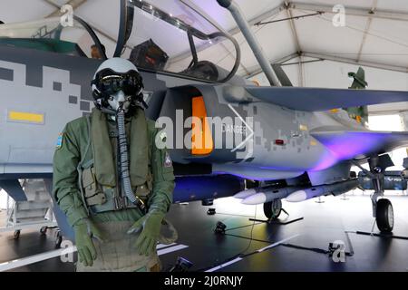 Brasilianischer F-39E Gripen, das Kampfflugzeug der brasilianischen Luftwaffe, hergestellt von Saab ab, Replik-Ausstellung Stockfoto