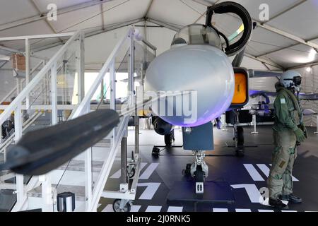 Brasilianischer F-39E Gripen, das Kampfflugzeug der brasilianischen Luftwaffe, hergestellt von Saab ab, Replik-Ausstellung Stockfoto