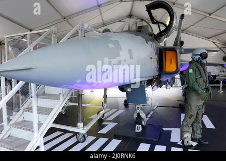 Brasilianischer F-39E Gripen, das Kampfflugzeug der brasilianischen Luftwaffe, hergestellt von Saab ab, Replik-Ausstellung Stockfoto