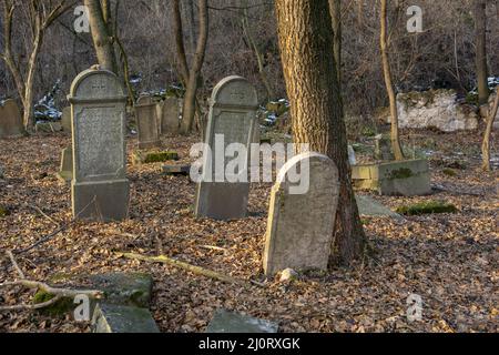 Alte alte alte verlassene jüdische Friedhof im Wald im Winter. Gealterte Grabsteine oder Grabsteine auf dem Friedhof. Stockfoto