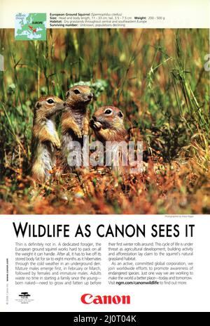 Werbespot des „National Geographic“ Magazine vom April 2006, USA Stockfoto