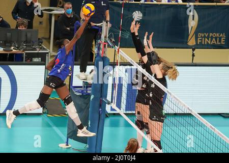 Wiesbaden, Deutschland. 20. März 2022. Krystal Ribers (13 Stuttgart) attackiert während des Damen-DVV-Pokal-Finalmatches 2021/2022 zwischen Allianz MTV Stuttgart und dem Dresdner SC in der Sporthalle am Platz der Deutschen Einheit in Wiesbaden. Norina Toenges/Sports Press Foto: SPP Sport Press Foto. /Alamy Live News Stockfoto