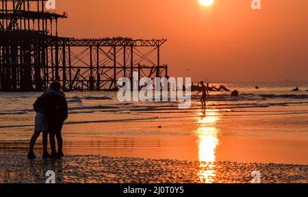 Brighton UK 20. March 2022 - Ein Schwimmer geht heute Abend während des Frühlings-Tagundnachtstuns ins Meer am Westpier von Brighton, mit einer warmen, sonnigen Wettervorhersage, die in der nächsten Woche in ganz Großbritannien weitergeht : Credit Simon Dack / Alamy Live News Stockfoto