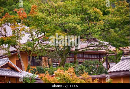 Der Blick auf das traditionelle japanische Ziegeldach durch die Blätter der Herbstbäume. Japan Stockfoto