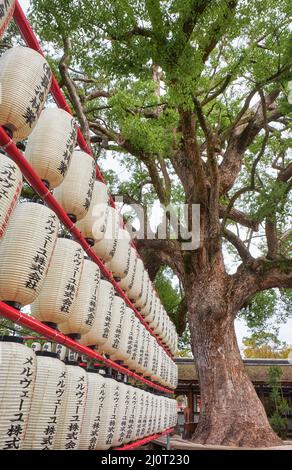 Viele traditionelle Papieraufhellungen (Chochin) am Hirano-Schrein. Kyoto. Japan Stockfoto