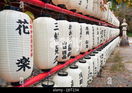 Viele traditionelle Papieraufhellungen (Chochin) am Hirano-Schrein. Kyoto. Japan Stockfoto