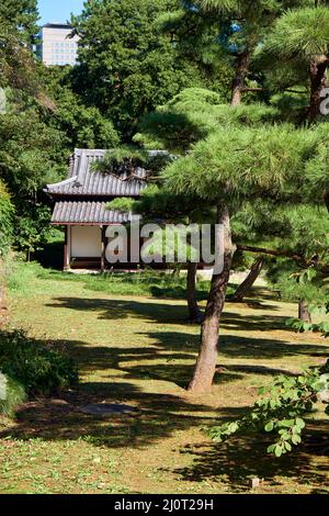 Der Teil des Gartens im japanischen Stil im Park des Kaiserpalastes von Tokio. Tokio. Japan Stockfoto