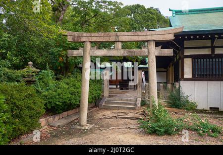 Das Torii-Tor zum Shiratama-Schrein. Burg Osaka. Osaka. Japan Stockfoto