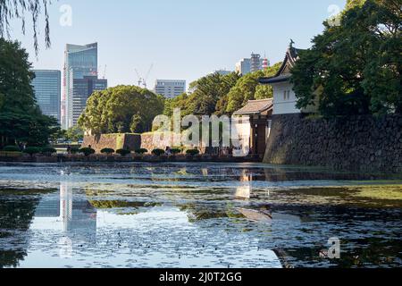 Kikyobon-Graben um den Kaiserpalast von Tokio. Tokio, Japan Stockfoto