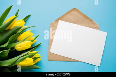 Umschlag mit weißem Papier für Text auf blauem Hintergrund und gelben Tulpen. Ein Frühlingsurlaub Grüße. Stockfoto