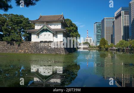 Der Kikyo-bori-Graben ist um den Kaiserpalast von Tokio herum mit Wasserpflanzen überwuchert. Tokio. Japan Stockfoto