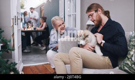 Was ist dieser kleine Kerle Name. Aufnahme von jungen Freunden, die einen entzückenden Husky-Welpen während einer Weihnachtsfeier zu Hause streicheln. Stockfoto