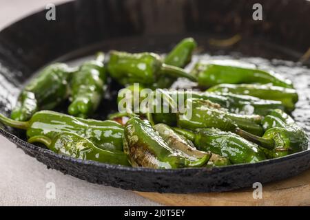 Grüne Pimientos de padron mit Meersalz Stockfoto