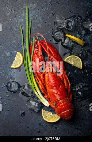 Hummer mit Zitronen- und Eiswürfeln, Draufsicht auf blauem Stein Stockfoto