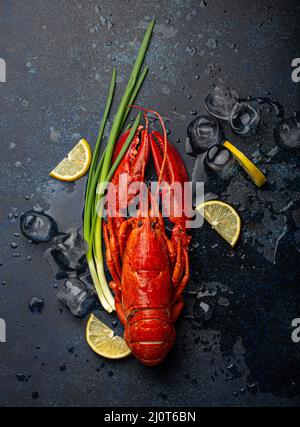 Hummer mit Zitronen- und Eiswürfeln, Draufsicht auf blauem Stein Stockfoto