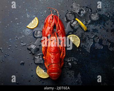 Hummer mit Zitronen- und Eiswürfeln, Draufsicht auf blauem Stein Stockfoto