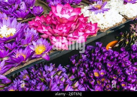 Blumen anbieten. Die Menschen bringen Blumen in den Tempel. Kandy, Sri Lanka. Stockfoto