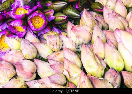 Blumen anbieten. Die Menschen bringen Blumen in den Tempel. Kandy, Sri Lanka. Stockfoto