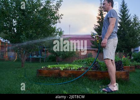 Wasserstrahlspritzen bei Tageslicht. Ein Mann baut im Garten Pflanzen im Freien an. Garten- und Hobbykonzept. Hochwertige Fotos Stockfoto