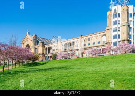 LONDON, Großbritannien - 19 2022. MÄRZ: Kirschblüten im Alexandra Palace, Stockfoto