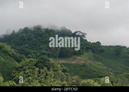 Panoramablick auf den schönen kolumbianischen Berg (el Alto del nudo) mit dichtem Dschungel und umgeben von Kaffeekulturen in einer Höhe von 2100 Metern über dem Meeresspiegel Stockfoto