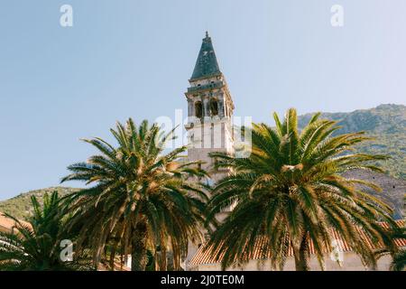 Blick durch die Gipfel der Palmen auf den Turm der Kirche St. Nikolaus. Montenegro Stockfoto