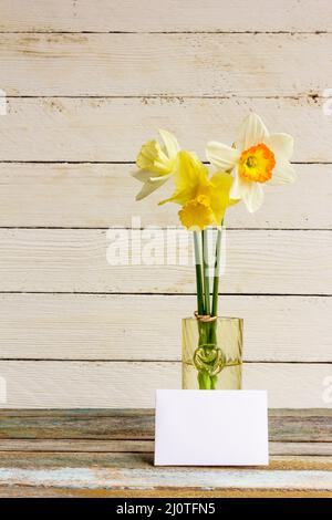 Drei gelbe und weiße Narzissen aus Frühlingsblumen mit goldenen Eheringen in Glasvase mit Grußkarte auf weißem Holz Stockfoto