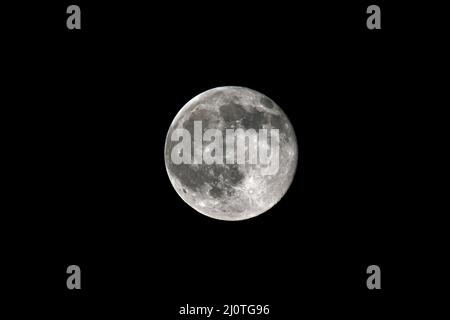 Vollmond. Mond ist die Mondphase, wenn der Mond aus der Perspektive der Erde vollständig beleuchtet erscheint. Vollmond in einer wolkenlosen Nacht. Stockfoto