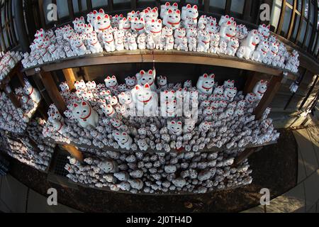 Das Bild wird einlädt (Tokyo Gotokuji) Stockfoto