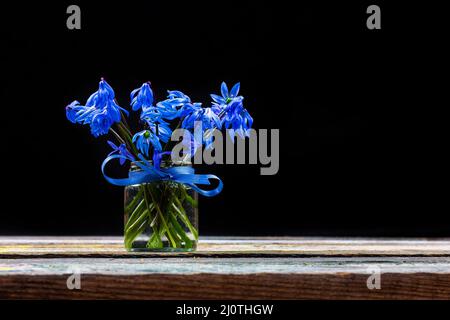 Ein Bouquet von frühen frühlingsblauen Blüten bluebell in einem Glas mit einer blauen Schleife auf dem Tisch auf einem schwarzen Hintergrund Nahaufnahme mit c Stockfoto