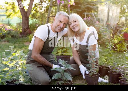 Porträt von älteren Gärtnern, die sich umarmen und lächeln, im Hinterhof sitzen und Blumen verpflanzen Stockfoto