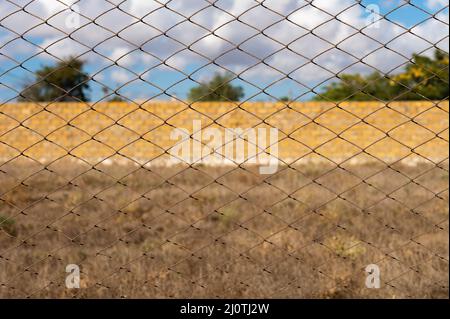 Rostiges Netz mit trockener Graswand und Himmel im Hintergrund in einem Garten in einem Dorf an einem trockenen Sommertag Stockfoto