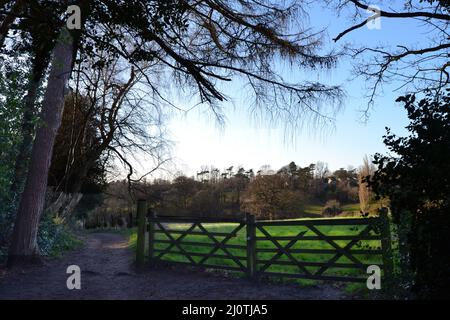 Szenen aus dem vom National Trust verwalteten Hawkwood Estate von Petts Wood an einem sonnigen Tag im März 2022. Petts Wood ist ein Vorort in Bromley, London Stockfoto