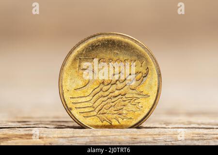Polnisches Geld fünf groszy Kupfermünze Stockfoto