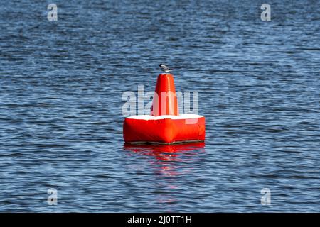 Rote aufblasbare Boje auf dem blauen Meer Stockfoto