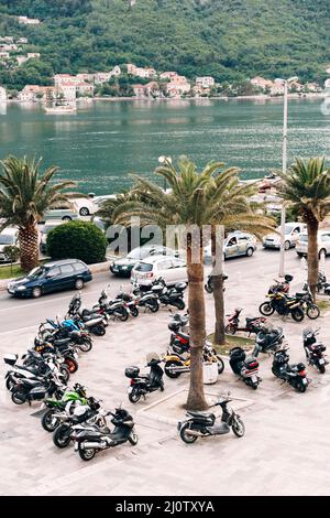 Viele Motorräder parkten unter Palmen an der Küste der Bucht Stockfoto