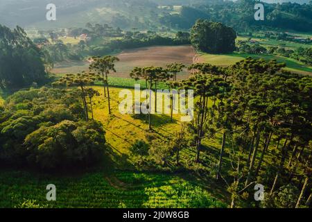 Luftaufnahme einer ländlichen Gegend mit Bergen und Feldern in Urubici, Santa Catarina, Brasilien Stockfoto