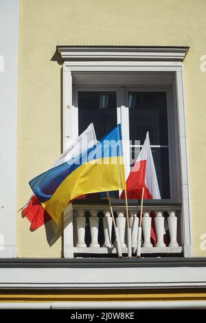 Die Nationalflaggen der Ukraine und Polens hängen vor dem Fenster als Symbol der Unterstützung der Ukraine im russisch-ukrainischen Krieg. Stockfoto