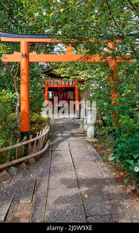 Die roten Torii-Tore entlang eines Pfades zum kleinen Inari-Sha-Schrein. Hirano-Schrein. Kyoto. Japan Stockfoto