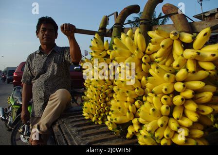 Mehrere ordentlich angeordnete Bananenbündel werden von einem Händler auf einem Markt in Pekanbaru City, Indonesien, verkauft Stockfoto