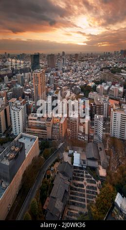 Der Blick vom Tokyo Tower auf die Wolkenkratzer der Stadt Minato bei Sonnenuntergang. Tokio. Japan Stockfoto