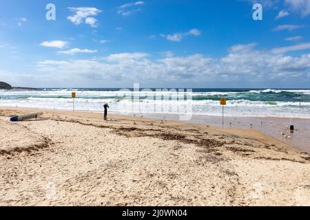 Freshwater Beach Sydney Australien an einem sonnigen Herbsttag Stockfoto