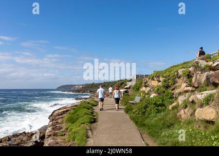 Harry Eliffe Way, Wanderweg zwischen Curl Curl und Freshwater, der nach Manly führt, an einem sonnigen Herbsttag in Sydney, Australien Stockfoto