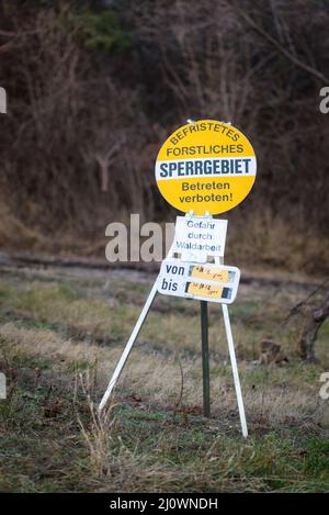 Warnschild Baum schneiden und den Schnitt Baum im Hintergrund bei der Park, mit einer geringen Tiefenschärfe fotografiert. Stockfoto