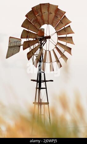 Ältere Southern Cross Bewässerung Windpumpe auf einem ländlichen Grundstück in Victoria. Stockfoto